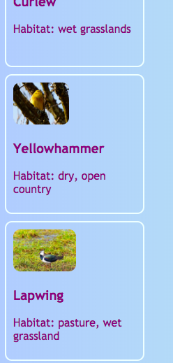 make clickable card Innovation  Social & for Advanced Clickable CSS HTML